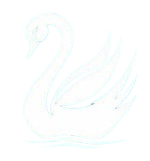 Neslife Research Logo